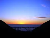 wild 076.webp