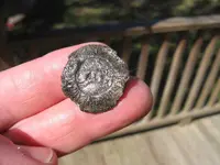 regbutton5.webp