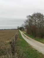 road.webp