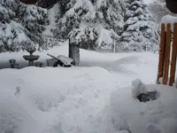 winter pictures 001.webp