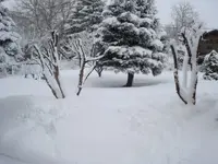 winter pictures 002.webp
