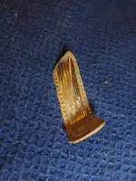gold1.webp