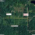 Old Orchard.webp Old Orchard.webp