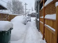 winter pictures 003.webp