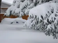 winter pictures 012.webp