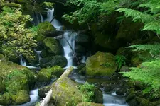 watsonfalls 026_RJ_2.webp