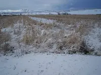 3-2-08_007-A.webp
