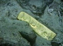 gold-recovered-odyssey-24142.jpg