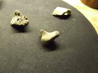 DSCF1515.webp