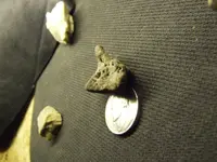 DSCF1518.webp