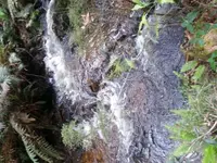 20161115_100241.webp