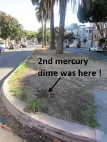 palm tree median 009.webp