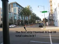 palm tree median 010.webp