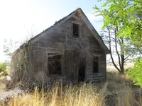 026.webp