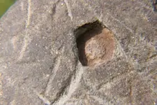 amphrockcarving5.webp