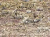 trip 111716 2.webp