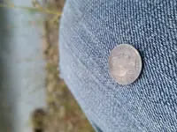 20160925_071106.webp