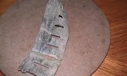 harmonica-reed.webp