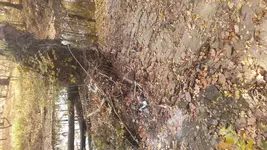 20161106_125635.webp