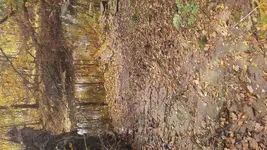 20161106_125640.webp
