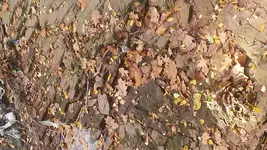 20161106_125702.webp