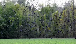 K1600_DSCN0069.webp