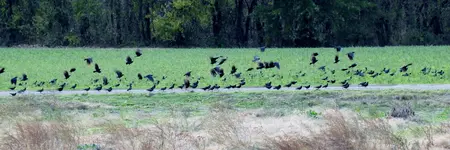 K1600_DSCN0067.webp