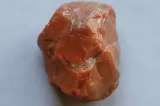 Agate-2016-10-28-Img_2466SSS.webp Agate-2016-10-28-Img_2466SSS.webp