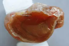 Agate-2016-10-28-Img_2470SSS.webp