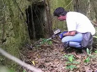 596886343_b26fa978e5_n.webp