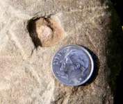 amphrockcarving3crop.webp