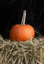 DSCN0035.webp