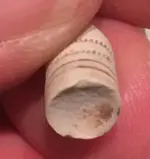 small bullet botton.webp