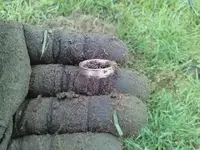 750 ring.webp