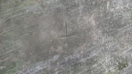 1479478475187.webp