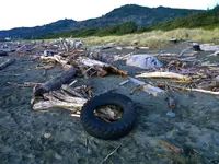DSCN1507.webp