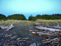 DSCN1512.webp