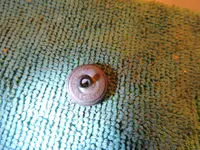 DSCN2911.webp