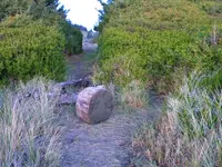 DSCN1517.webp