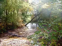 DSCF0021.webp