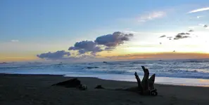 DSCN1494.webp