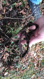 P_20161118_161836.webp