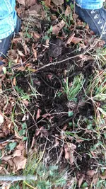P_20161118_161819.webp