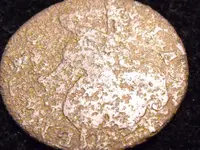 DSCF0015.webp