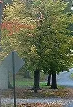 DSCF0003 (2).webp