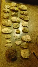 IMAG1027.webp