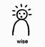pictograph_Wise.webp