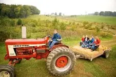 Hayride.webp