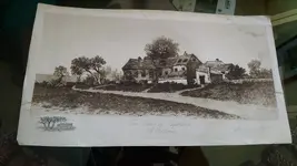 14811306514931748369346.webp