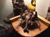 skull 2.webp